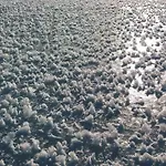 Zöhrer - Wohnen Am Wasser Weissensee