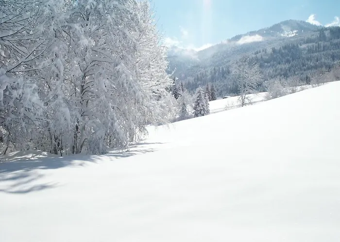Zöhrer - Wohnen Am Wasser Apartment Weissensee