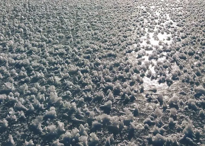 Zöhrer - Wohnen Am Wasser Weissensee